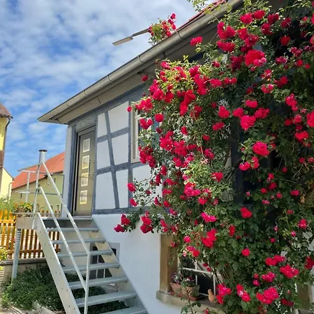 Ferienparadies Verweilzeit - Keine Monteure Oder Jugendgruppen Ohrenbach Buitenkant foto